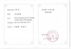 火红鸟审定证书(个人)